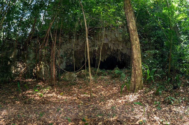 Selva tropical e ingreso a cueva