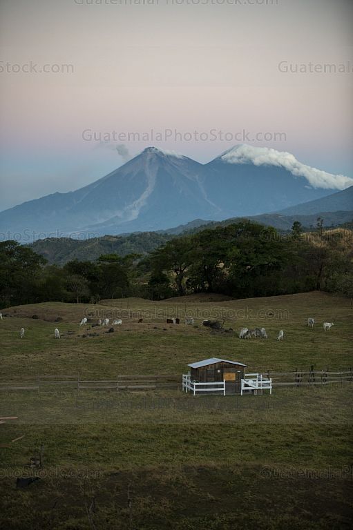 Finca La Escondida, Los Pocitos
