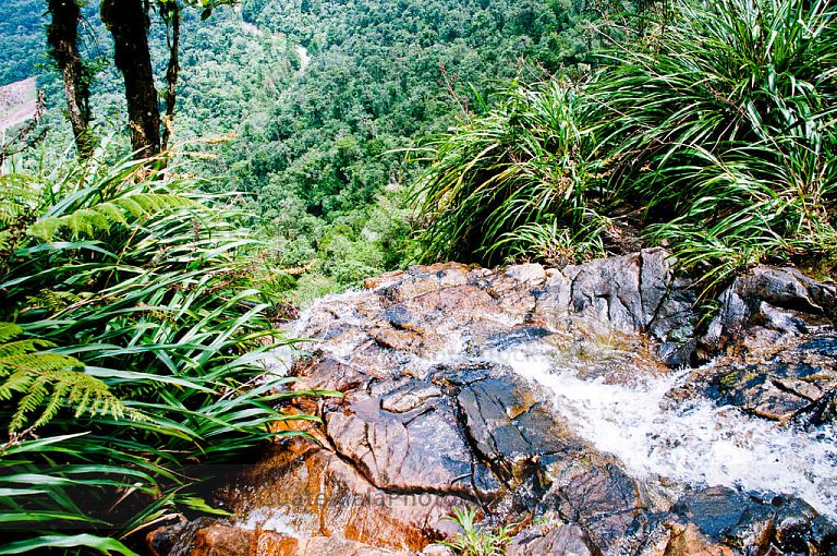 Cascada