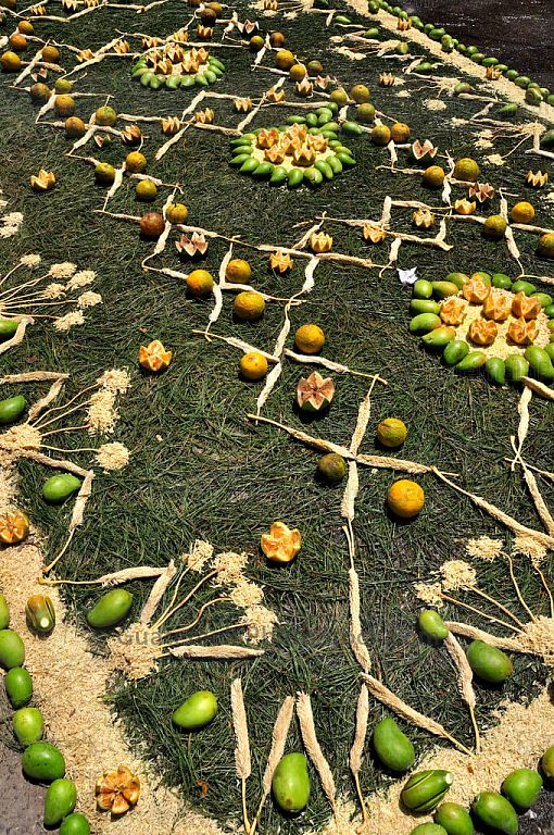 Alfombra de aserrín, pino, corozo y frutas