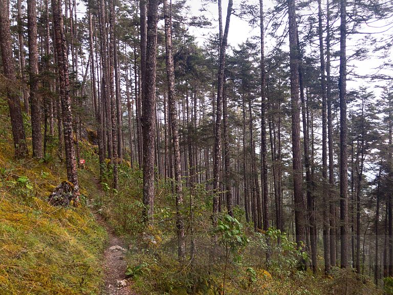 Sendero La Puerta del Cielo, Huehuetenango