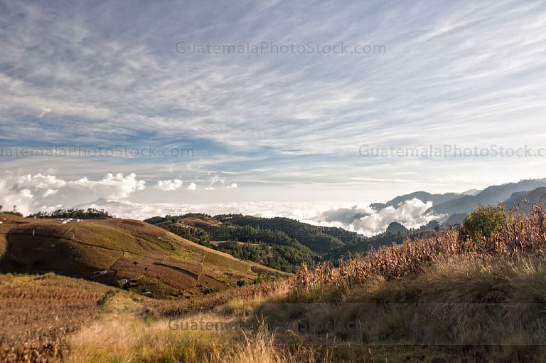 Paisaje de la Cumbre de Alaska