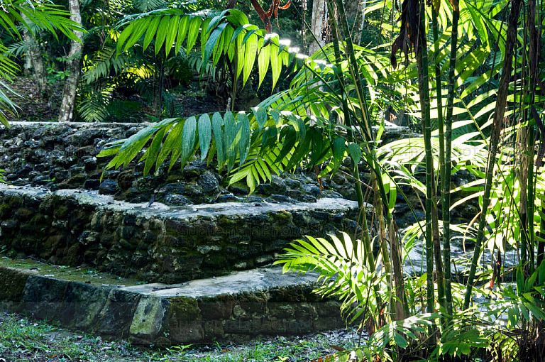 Estructuras en Yaxhá