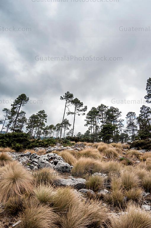 Paisaje de lo Cuchumatanes