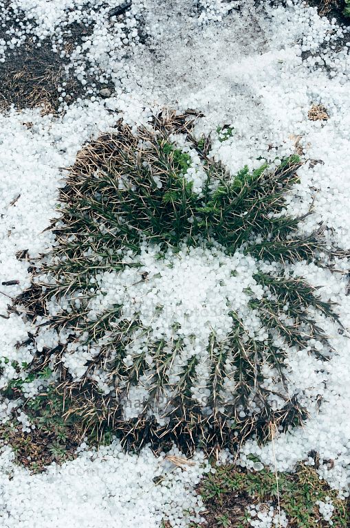 Granizo en la cima de los Cuchumatanes