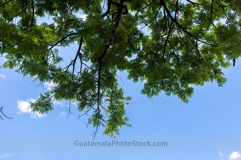 Mixco Viejo