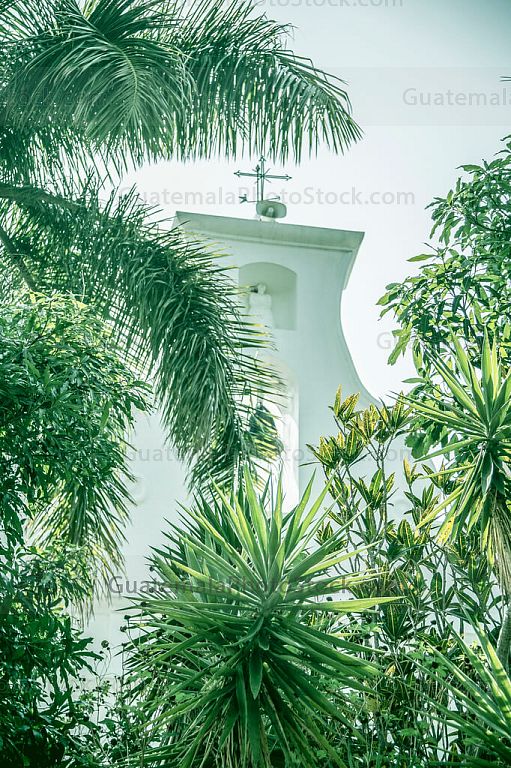 Cupula de Concepción las Minas