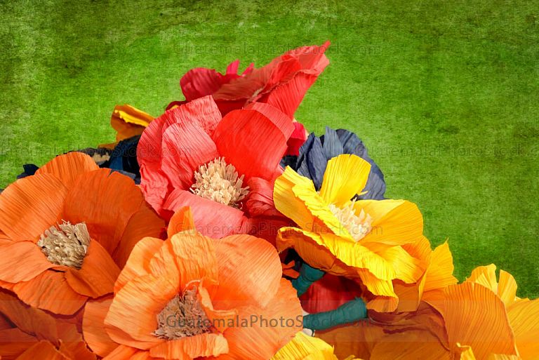 Flores de tusa