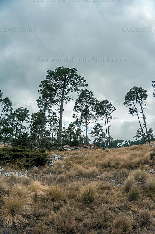 Parque Regional de Todos Santos Cuchumatán