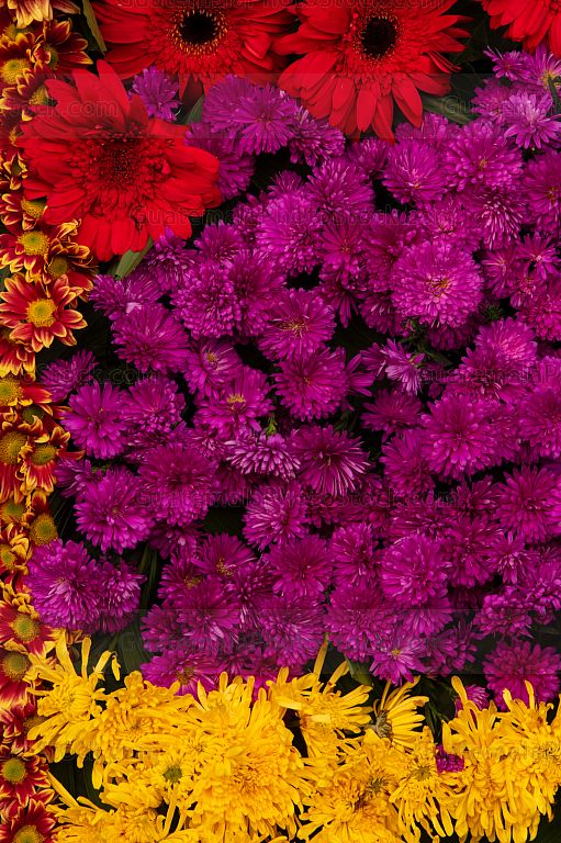 Detalle de arreglo floral