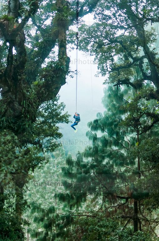 Canopy