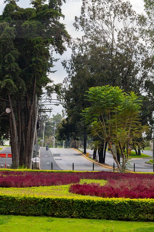 Bulevar Austriaco, Zona 16