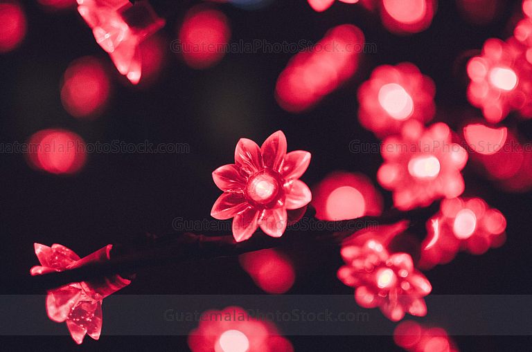 Luces de fin de año