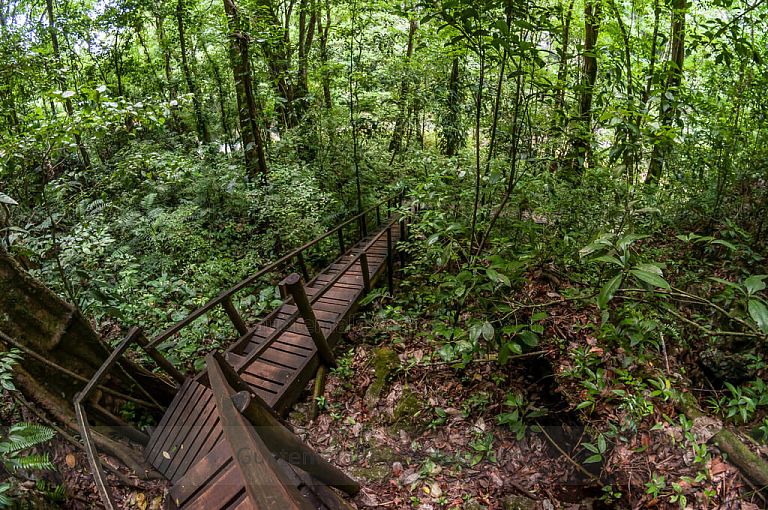 Sendero del mirador en Semuc Champey