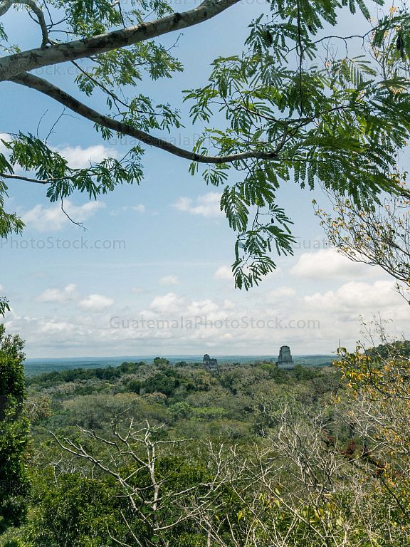 Paisaje con los templos de Tikal