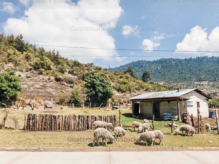 Paisaje de los Cuchumatanes