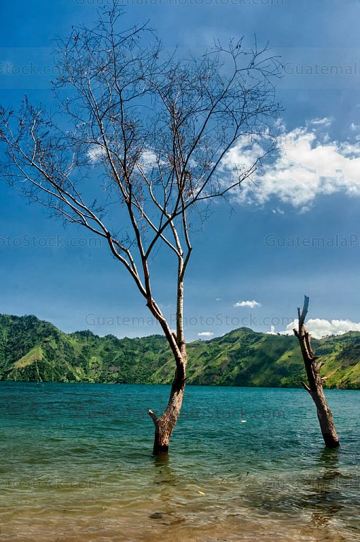 Laguna de Ayarza