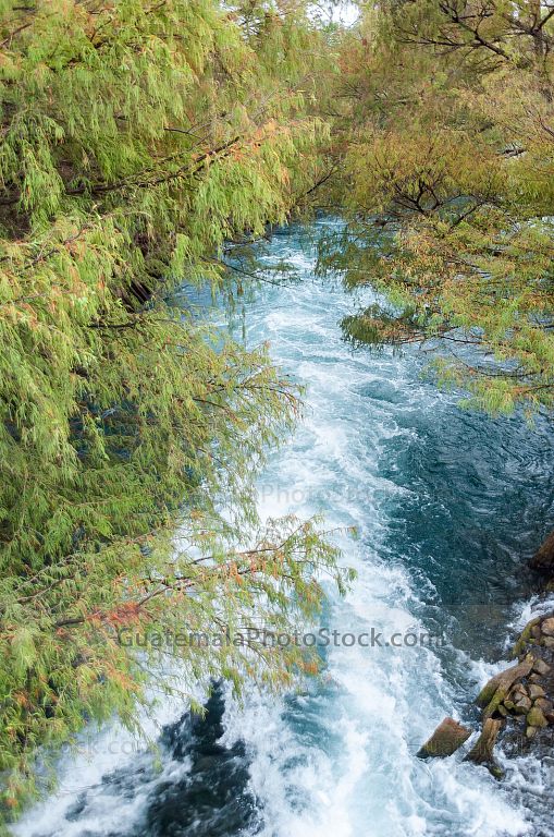 Nacimiento del Río Lagartero