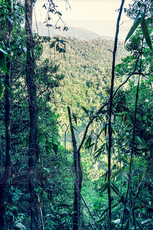 Sendero hacia Maxbal