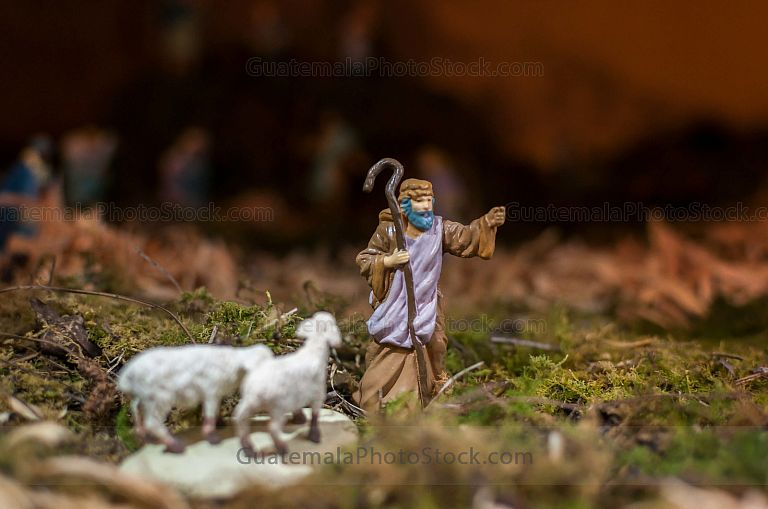 Nacimiento