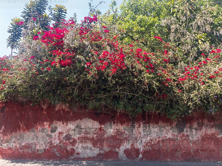 Antigua Guatemala, Sacatepéquez