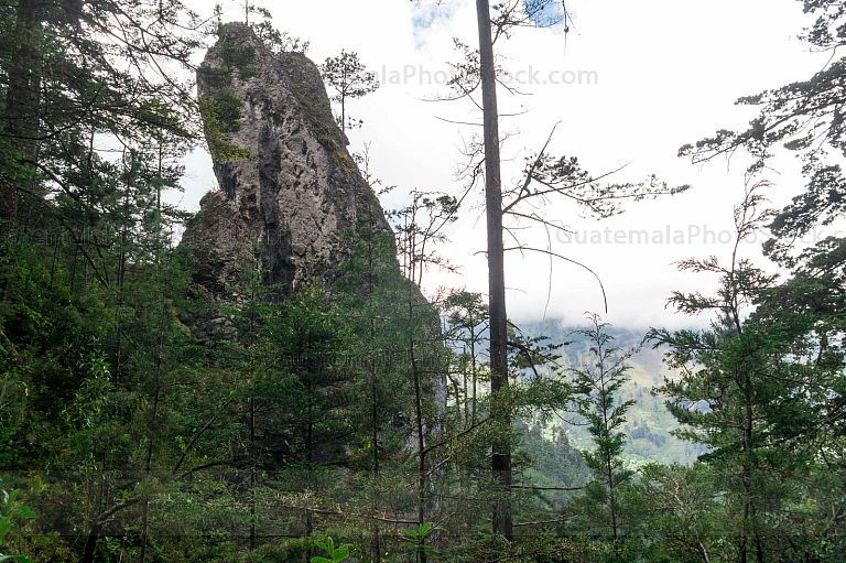 Sendero Ecológico La Maceta