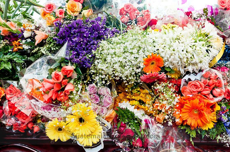 Ofrendas a la Procesión de la Reseña