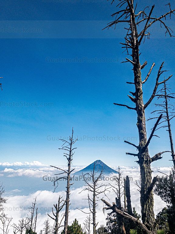 Vista al Volcán de Agua