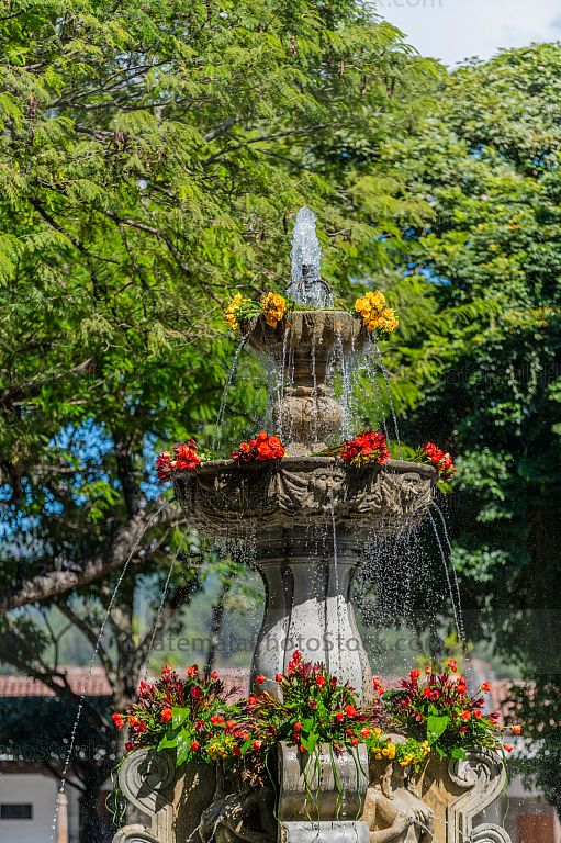 Festival de las flores