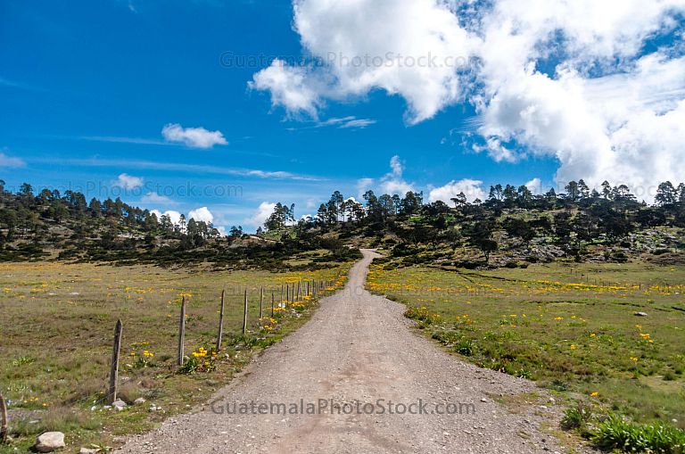 Camino rural en la Cima de los Cuchumatanes