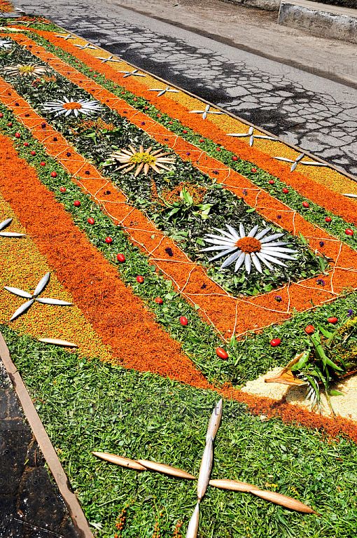 Alfombra de aserrín, verduras y flores