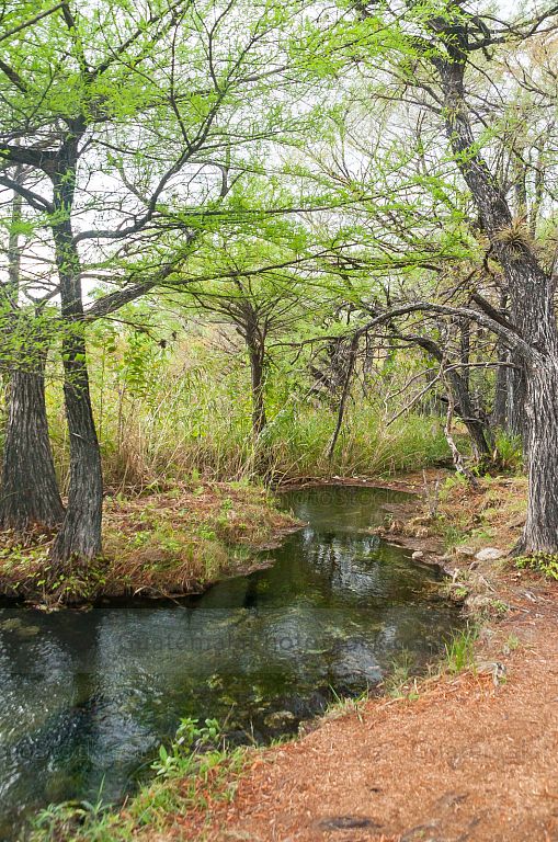 Nacimiento del Río Lagartero