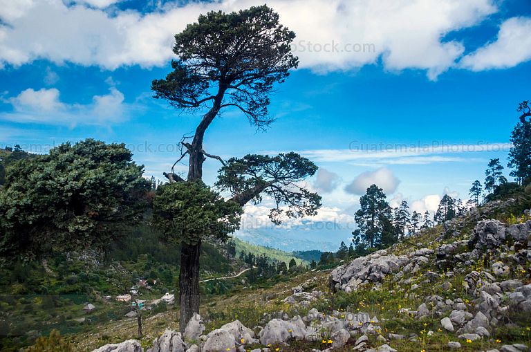 Sendero Puerta del Cielo