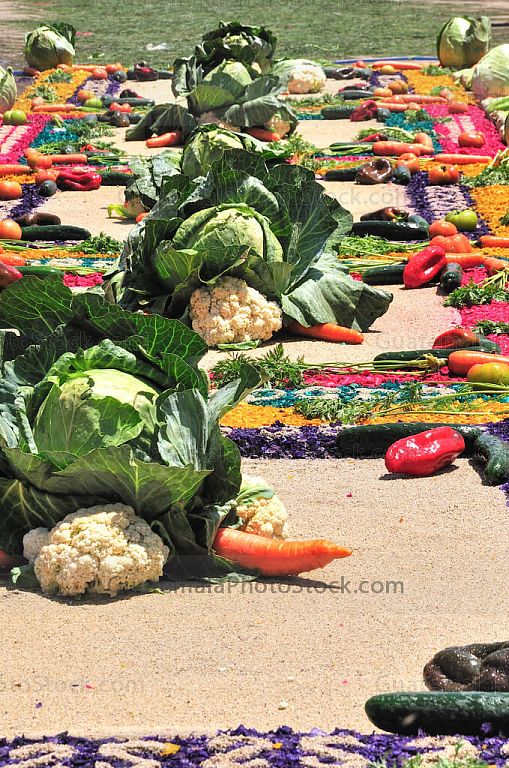 Alfombra de aserrín y verduras