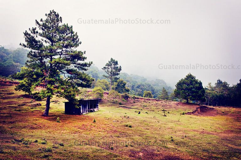 Sierra de las minas