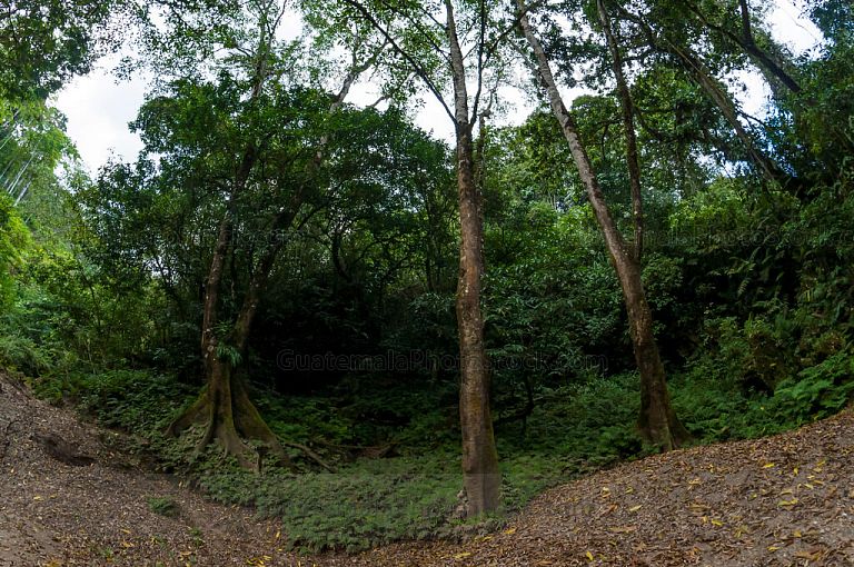 En el cause del río seco