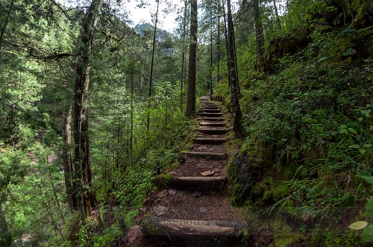 Sendero La Maceta