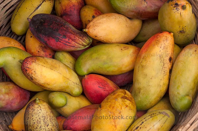 Mangos pico de loro
