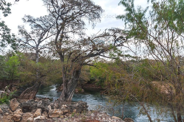 Río Lagartero