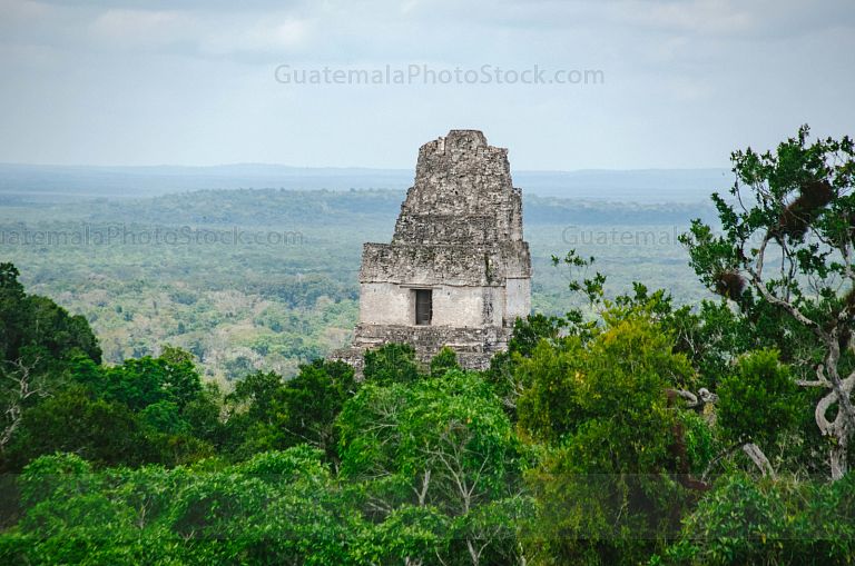 Templo I de Tikal, Gran Jaguar, Tikal