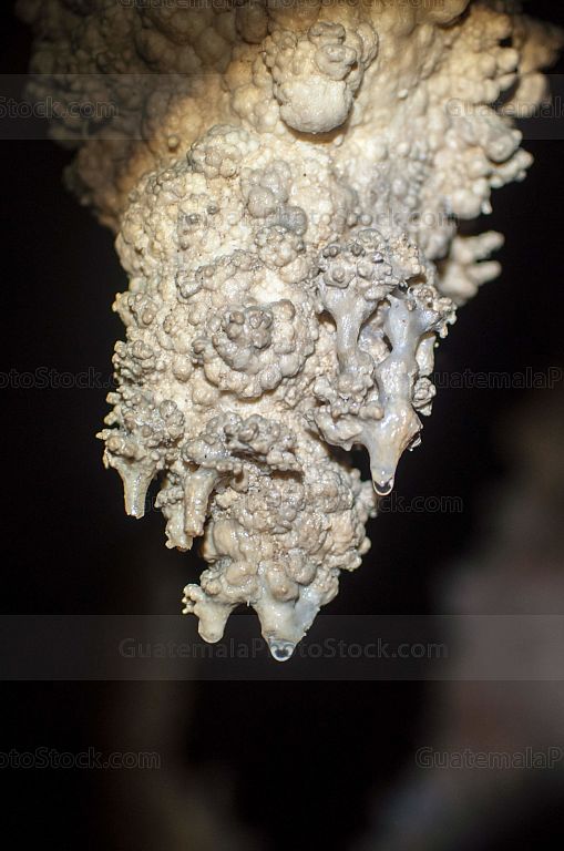 Estalactitas en las Cuevas de Setzol