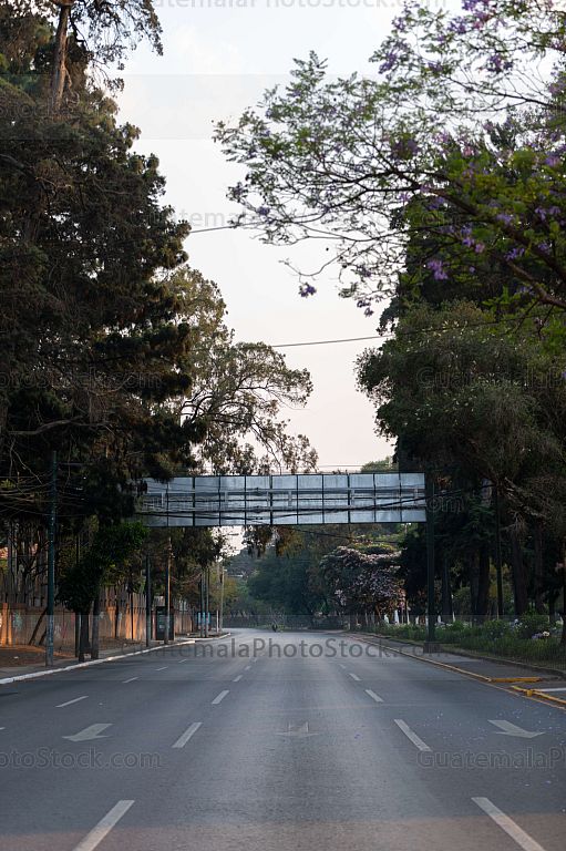 Avenida Las Americas, Zona 14
