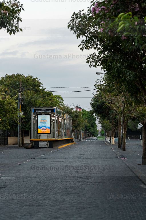Quinta Avenida y 8a. Calle, Zona 1