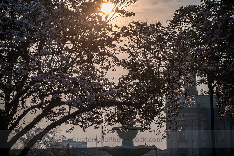 Amanecer en la plaza central