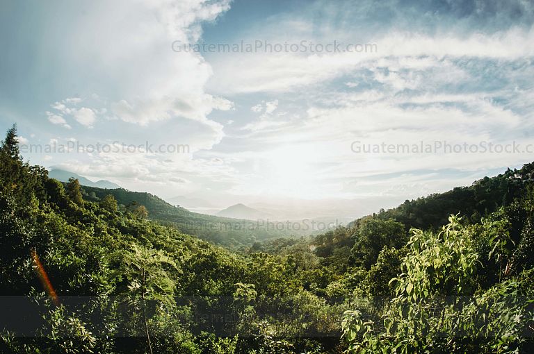 Paisaje de atardecer Green Rush