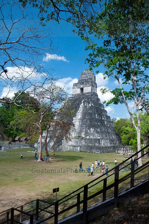 Templo I de Tikal, Gran Jaguar, Tikal