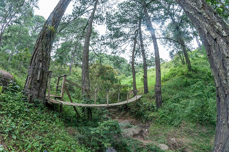 Senderos en Parque Ecológico