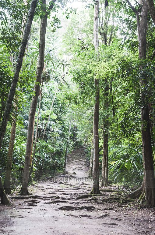 Tikal