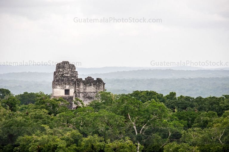 Crestas del Templo I y Templo II de Tikal