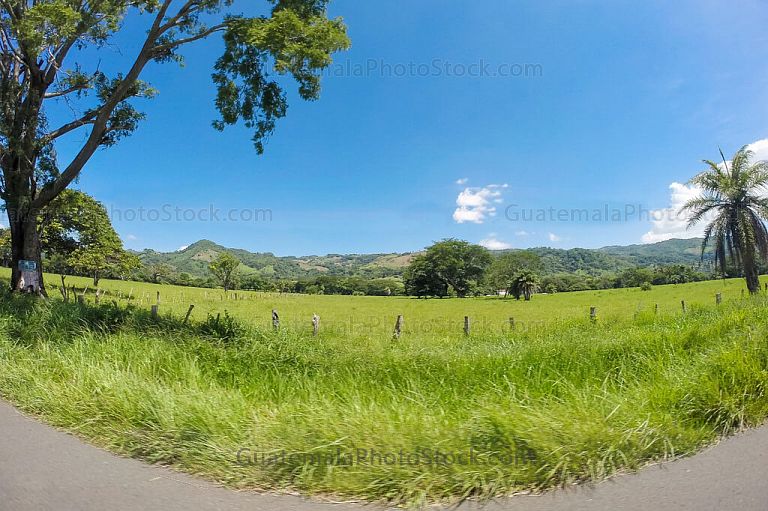 Paisaje de Jalpatagua